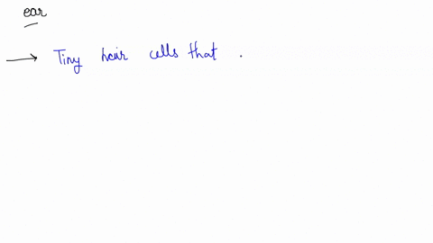 tiny-hair-cells-that-detect-sound-are-located-in-which-part-of-the-ear-a-the-cochlea-b-the-auditory-canal-c-the-eardrum-d-the-stapes-63824