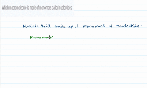 which-macromolecule-is-made-of-monomers-called-nucleotides-64433