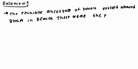 present-a-summary-of-hominid-evolution-from-the-early-contenders-to-early-australopithecenes-up-to-but-not-including-modern-sapiens-discuss-skeletal-features-72584