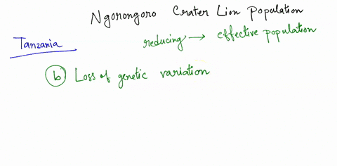 which-of-the-following-were-major-factors-reducing-effective-population-size-in-the-ngorongoro-crater-iion-populaton-in-tanzania-select-one-or-more-canine-distemper-virus-loss-of-genetic-var-57958