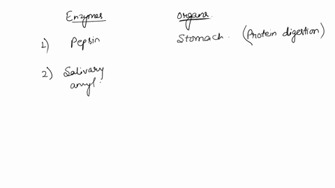 question-23-167-pts-match-the-enzymes-with-the-organ-that-produces-them-amylase-choose-choosc-pepsin-pancreas-pancreas-saliva-ldas0-livct-stomach-bile-choose-question-24-167-pts-as-other-end-81228