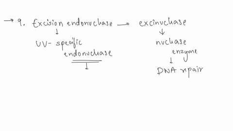 you-have-been-sitting-in-the-sun-lot-lately-though-you-know-full-well-that-the-uv-in-sunlight-can-cause-the-formation-of-pyrimidine-dimers-covalent-links-between-adjacent-pyrimidine-residues-22169