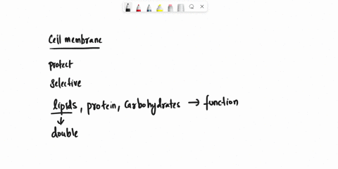 what-best-explains-the-relationship-between-structure-and-function-of-the-cell-membrane-93614