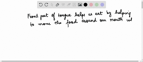why-is-the-front-part-of-the-tongue-flexible-what-is-the-significance-of-tongue-in-digestion-of-food-98354