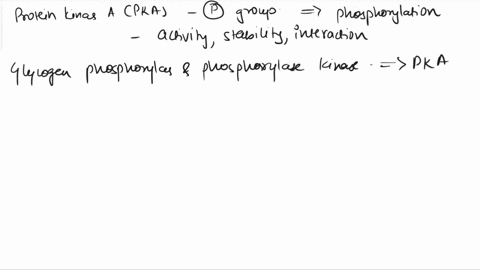 which-of-the-following-is-not-directly-phosphorylated-by-protein-kinase-a-pkaa-glycogen-phosphorylaseb-glycogen-synthasec-phosphoprotein-phosphatase-inhibitord-phosphirylase-kinase-01655