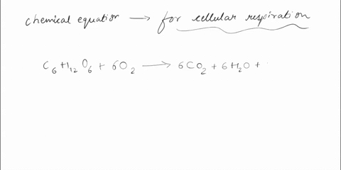 20-write-the-complete-overall-chemical-equation-for-cellular-respiration-using-chemical-symbols-instead-of-words-c6h12o6-6o2-6co2-6h2o-atp-21-compare-this-reaction-from-question-20-to-the-on-52583