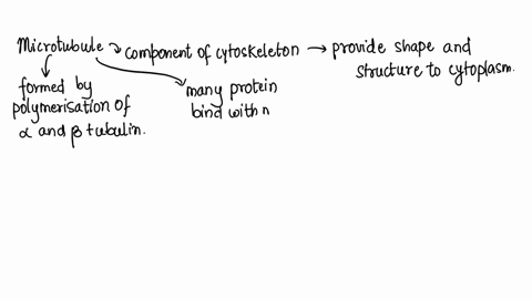 the-following-proteins-are-all-members-of-a-class-of-proteins-bind-to-the-side-of-microtubules-they-have-different-functions-some-stabilize-and-some-destabilize-microtubles-a-tropomyosin-b-k-49259
