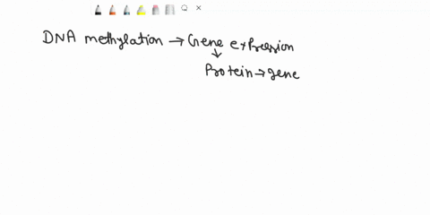 what-effect-does-dna-methylation-have-on-gene-expression-it-increases-it-it-decreases-it-it-depends-of-which-base-is-methylated-dna-methylation-has-no-effect-on-gene-expression-increased-mrn-48426