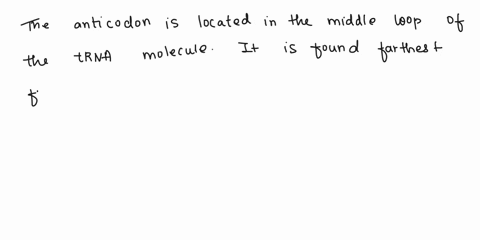 question-9-1-point-where-is-the-anti-codon-located-in-the-trna-the-middle-loop-farthest-from-the-stem-at-the-3-end-stem-part-of-the-trna-at-the-loops-found-closest-to-the-stem-question-10-1-41405