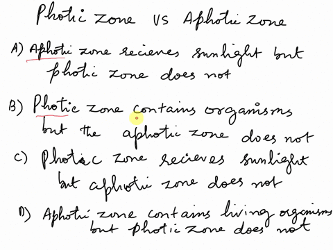 what-is-the-difference-between-the-photic-zone-and-the-aphotic-zone-in-an-aquatic-biome-a-the-aphotic-zone-receives-sunlight-but-the-photic-zone-does-not-b-the-photic-zone-contains-living-or-71505