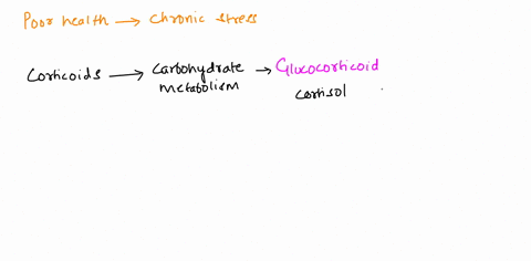 which-of-the-following-contributes-to-poor-health-when-people-experience-chronic-stress-high-levels-of-parathyroid-hormones-make-blood-sugar-regulation-difficult-high-levels-of-glucocorticoi-90599