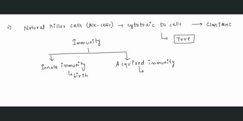 natural-killer-cells-are-cytotoxic-to-cells-that-do-not-display-class-mhcs_-true-false-22383