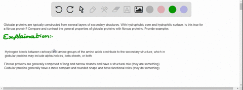 globular-proteins-are-typically-constructed-from-several-layers-of-secondary-structures-with-hydrophobic-core-and-hydrophilic-surface-is-this-true-for-a-fibrous-protein-compare-and-contrast-61456