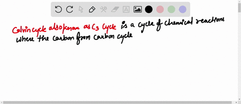where-does-the-calvin-cycle-take-place-select-all-that-apply-stroma-mitochondria-cyanobacteria-thylakoid-membrane-lumen-chloroplast-39958