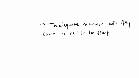 given-each-circumstance-at-which-phase-of-the-cell-cycle-would-the-cell-be-stuck-and-not-progress-through-the-subsequent-stage-of-the-cell-cycle-some-labels-may-be-used-more-than-once-drag-eachitem-an