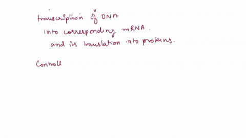describe-how-controlling-gene-expression-will-alter-the-overall-protein-levels-in-the-cell-28273