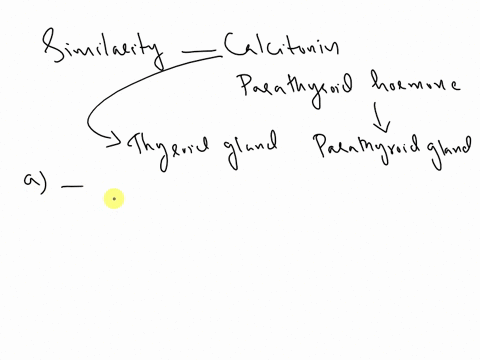 8-which-of-the-following-is-a-similarity-between-calcitonin-ct-and-parathyroid-hormone-pth-a-both-are-produced-by-the-parathyroid-gland-b-both-help-regulate-blood-calcium-levels-c-both-are-p-90108