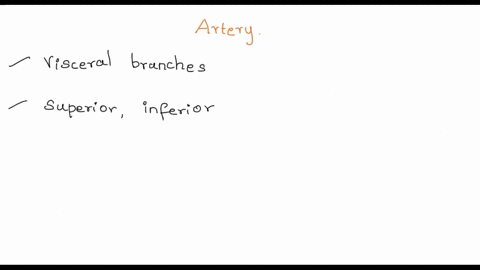 what-is-the-difference-between-a-paired-artery-and-an-unpaired-artery-17806