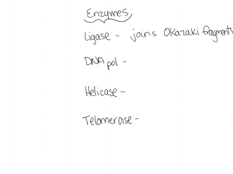 match-each-enzyme-with-its-function_-ligase-choose-choose-breaks-hydrogen-bonds-between-dna-bases-initiates-synthesis-of-a-new-dna-strand-dna-polymerase-helicase-prevents-linear-chromosome-e-04406