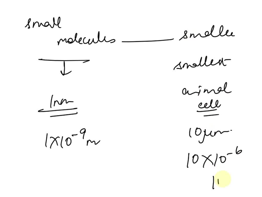 SOLVED: Based on the following diagram, a small molecule is about 10^-9