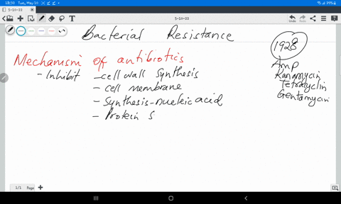 how-could-bacteria-become-resistant-to-an-antibiotic-19038