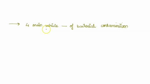 5mention-four-4main-vehicles-of-bacterial-contamination-and-trace-any-two-routes-by-which-bacteria-can-be-transferred-to-food-6as-a-supervisor-discuss-how-you-can-ensure-that-a_-your-staffs-88267