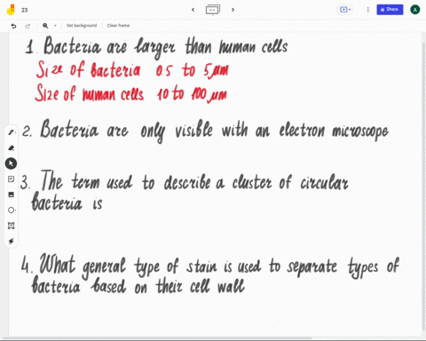 true-or-false-bacteria-are-larger-than-human-cells-true-false-2-true-or-false-bacteria-are-only-visible-with-an-electron-microscope-true-false-3-the-term-used-to-describe-a-cluster-of-circul-32985