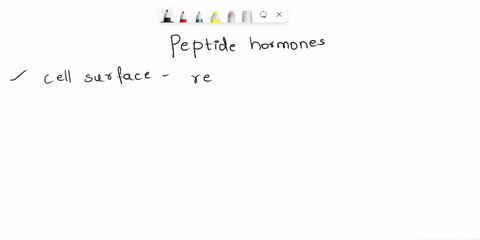 peptide-hormones-interact-with-what-structures-on-the-surface-of-a-cell-a-receptor-proteins-b-second-64332