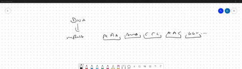 the-chain-of-hemoglobin-in-man-is-146-amino-acids-long-what-would-be-the-length-in-nucleotides-of-the-mrna-molecule-required-to-direct-the-synthesis-of-this-polypeptide-chain-73198