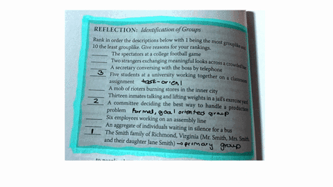 reflection-identification-of-groups-rank-in-order-the-descriptions-below-with-1-being-the-most-grouplike-and-10-the-least-grouplike-give-reasons-for-your-rankings-the-spectators-at-a-college-20727