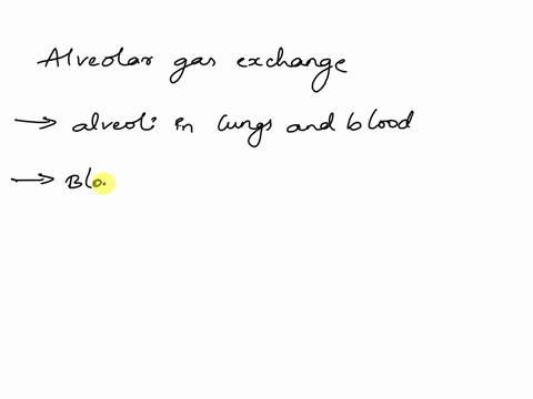 undefined-classify-the-items-into-the-correct-category-12-blood-po-increases-frorm-40-to-104-6hww-0-points-blood-pco-increases-from-40-to-45-mmhg-alveolar-gas-exchange-exchange-of-respirator-30105