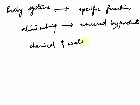 body-systems-are-groups-of-organs-that-work-together-to-perform-a-specific-function-for-the-organism-which-body-system-is-responsible-for-eliminating-unused-by-products-excreted-from-cells-a-51424