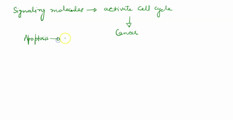 cell-signaling-can-have-fast-and-slow-responses-which-of-the-following-is-an-example-of-a-fast-response-signal-transduction-activates-the-cell-cycle-signal-transduction-activates-the-initiat-53557