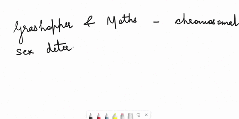 describe-or-demonstrate-the-mechanism-of-sex-determination-in-humans-grasshoppers-moths-fruit-flies-and-bees-51828
