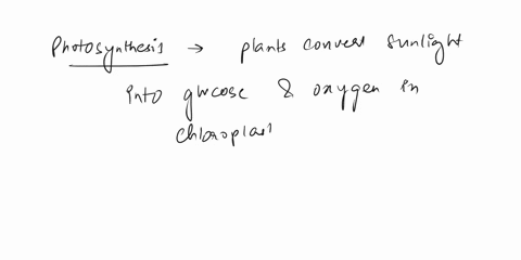 photosynthesis-and-cellular-resperation-include-the-locations-specific-organelles-and-what-organisms-94631