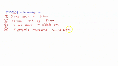 put-these-statements-in-correct-order-to-understand-how-hearing-works_-lons-enter-hair-cells-stapes-moves-auditory-cortex-recognizes-the-sounds-hair-cells-bend-incus-moves-auditory-nerve-tra-64299
