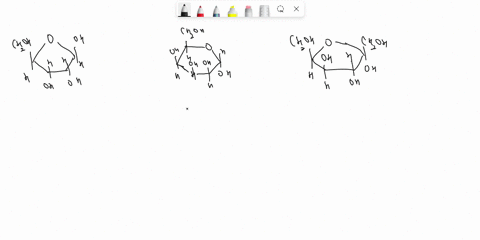 label-the-anomeric-center-in-cach-structure-with-an-asterisk-chzoh-choh-oh-84-oh-oh-chzoh-chzoh-oh-oh-o4-oh-answer-bank-14857
