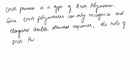 what-role-does-primase-play-in-dna-replication-93253
