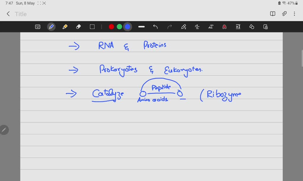 SOLVED Protein synthesis in eukaryotes is similar to the process in