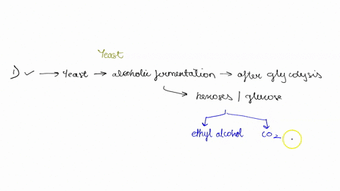 choose-the-one-answer-that-fits-best-which-of-the-following-regarding-anaerobic-respirationvfermentation-not-coriect-yeasts-can-pertorm-alcoholic-fermentation-alcoholic-fermentation-of-beer-38638