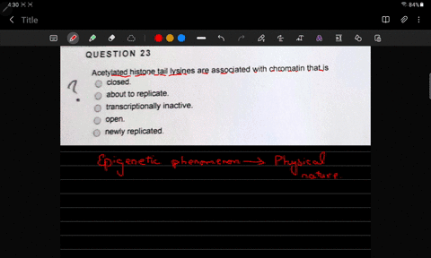 question-23-acetylated-histone-tail-lysines-are-associated-with-chromatin-that-is-closed-about-to-replicate-transcriptionally-inactive_-open-newly-replicated-82467