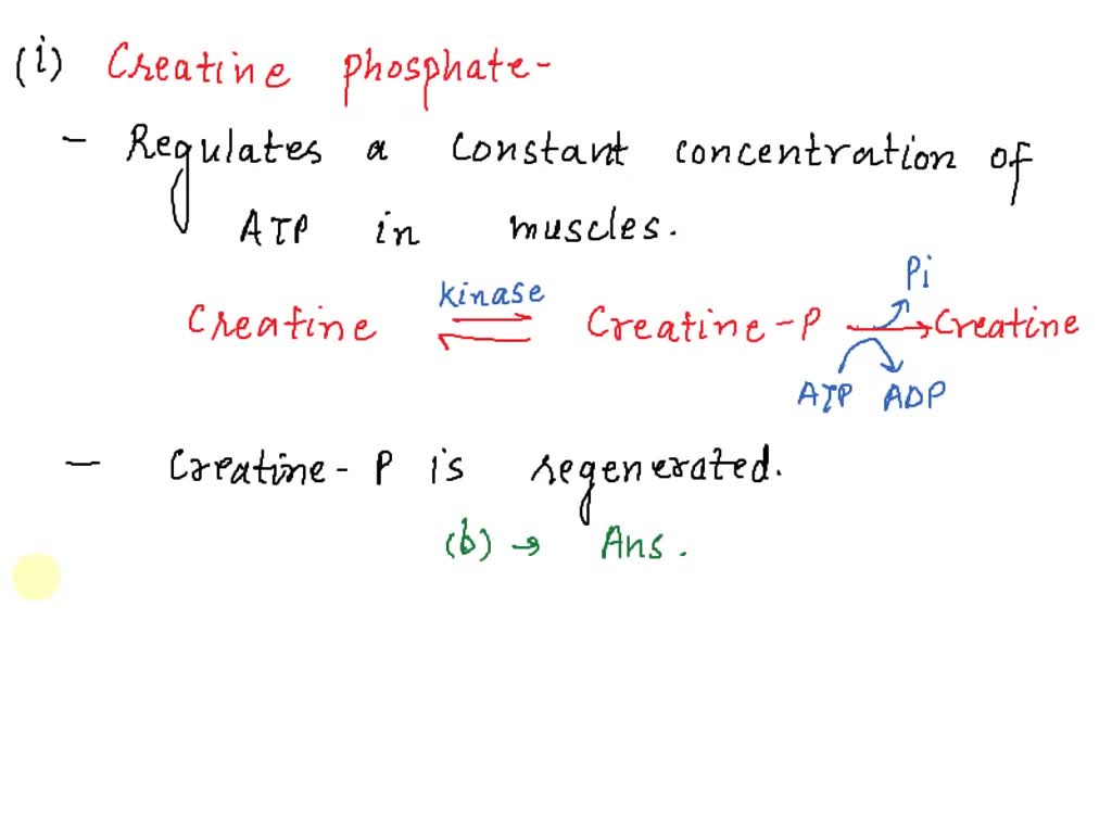 SOLVED: Which of the following statements best explains the role of ...