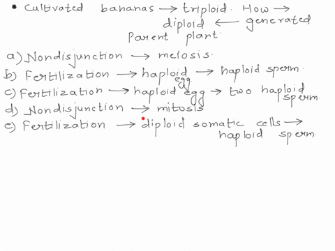 most-cultivated-bananas-are-triplold-how-could-these-be-generated-from-diploid-parent-banana-plants-mulple-cholce-nondisjunction-meiosis-tollowed-by-normal-fenillzation-fenilization-of-a-hap-62462