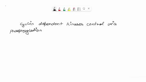 how-are-cyclins-and-cyclin-dependent-kinases-cdks-involved-in-cell-cycle-control-79012
