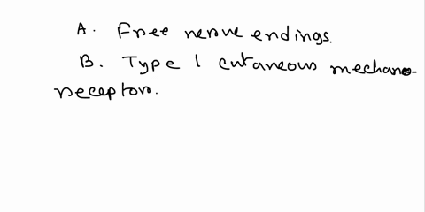 select-all-that-apply-indicate-the-receptors-that-sense-pressure-a-free-nerve-endings-b-type-i-cutaneous-mechanoreceptor-tactile-disc-c-lamellated-corpuscle-d-root-hair-plexus-e-corpuscle-of-63305