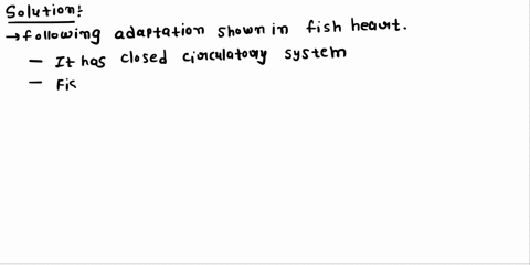 how-is-the-heart-of-a-fish-specifically-adapted-to-its-lifestyle-2-96728