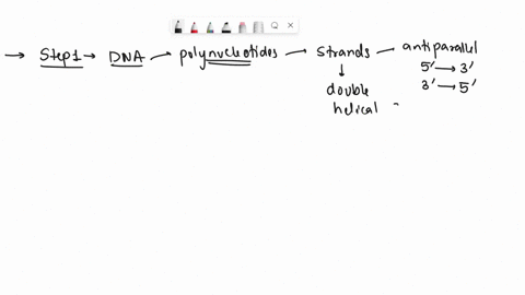 what-would-be-the-outcome-of-a-cell-if-it-had-dna-through-the-development-and-maturation-of-the-cell-and-then-the-dna-disappeared-62745