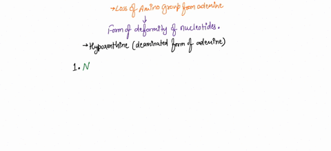 question-8-pts-the-loss-of-amino-groups-from-adenine-in-dna-results-in-hypoxanthine-mutated-base-that-should-not-be-opposite-thymine-what-combination-of-proteins-could-repair-such-damage-o-t-49051