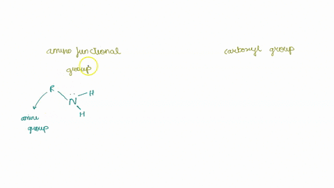 compare-and-contrast-between-amino-functional-groups-and-carboxyl-groups-48144