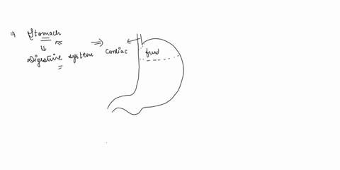 2-upper-digestive-tract-a-discuss-the-stomach-and-include-one-usual-abnormal-finding-b-discuss-the-esophagus-and-include-one-usual-abnormal-finding-c-discuss-the-components-of-the-moth-and-i-35187